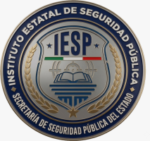 SSPE